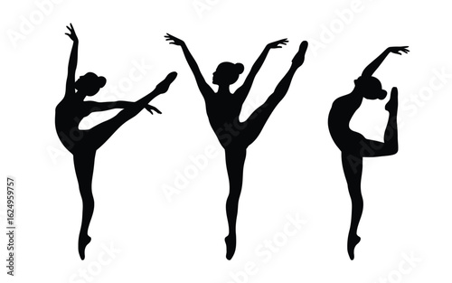 Vector art of silhouette of ballet dancers isolated on white background, graceful figures in motion