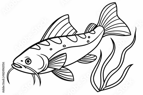 coloring page line art the loach fish black vector