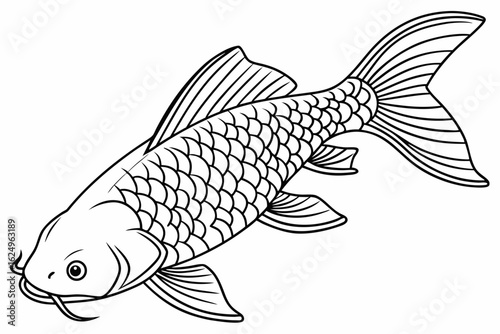 coloring page line art the loach fish black vector
