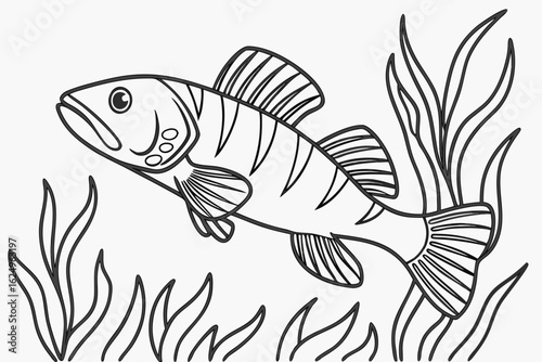 coloring page line art the loach fish black vector