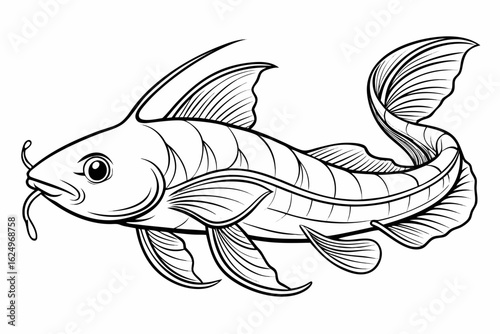 coloring page line art the catfish black vector