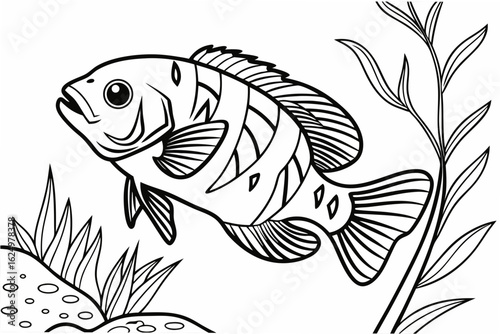 coloring page line art the oscar fish black vector