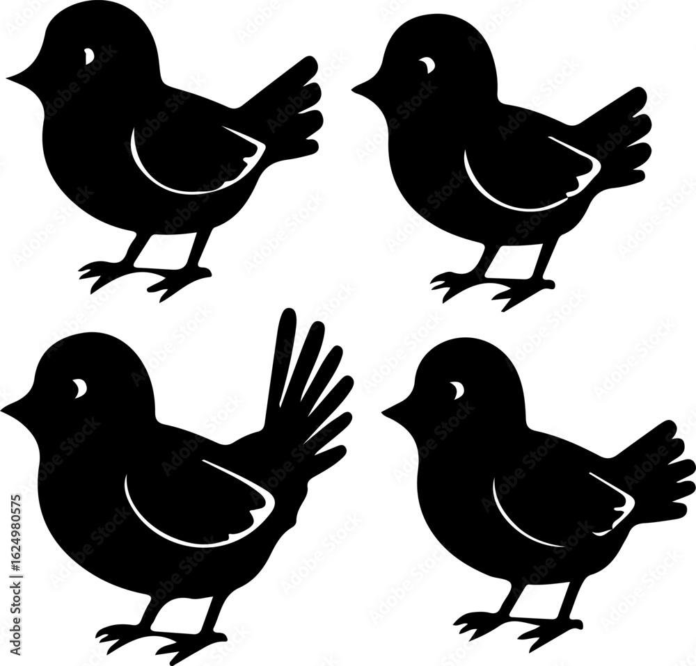 Obraz premium birds on white background