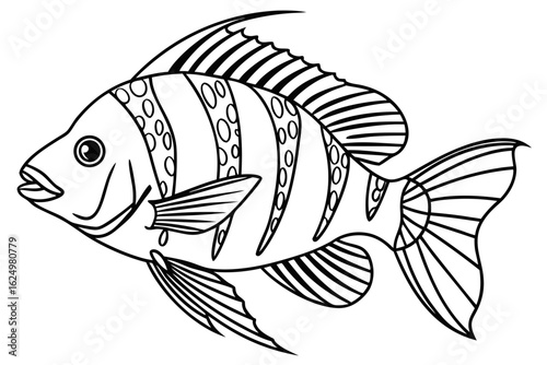 coloring page line art the cichlid fish black vector