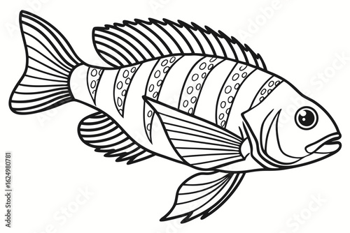 coloring page line art the cichlid fish black vector