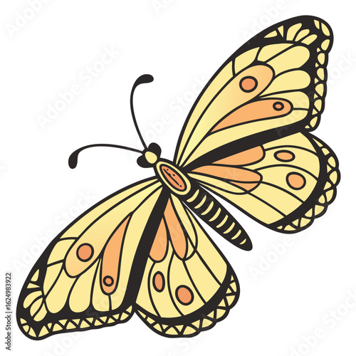 Vector illustration of a monarch butterfly with orange and black wings, a beautiful insect on a white background