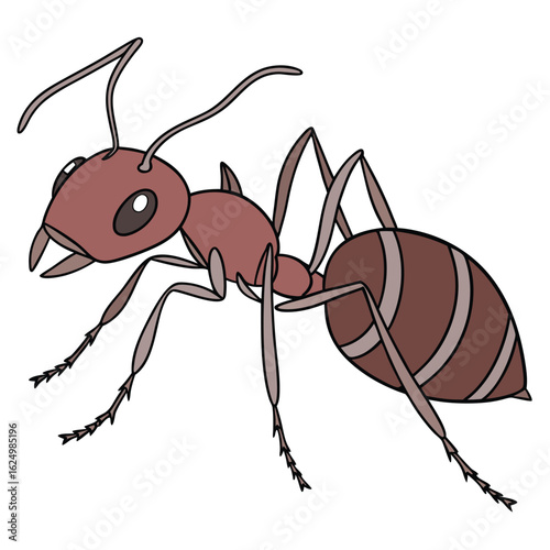 Vector illustration of isolated black and red worker ants on a white background