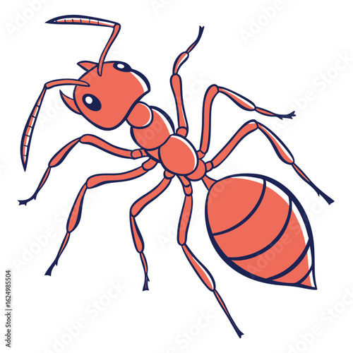Close-up macro of a small black ant on a white background, a detailed insect vector illustration