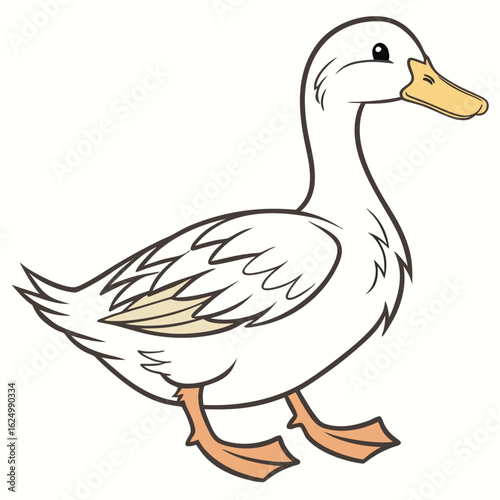 One green mallard duck, a wild waterfowl bird with a grey beak, isolated on a white background