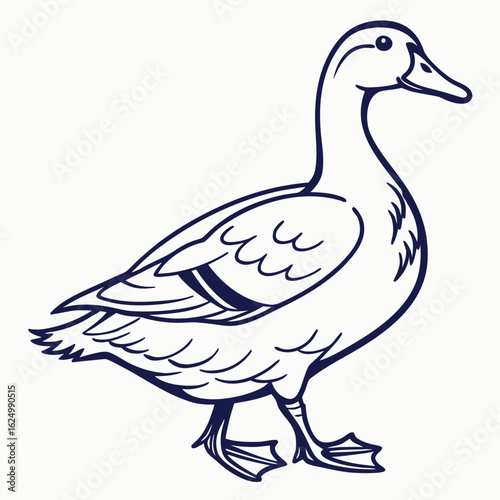 Single wild white waterfowl with beak and wings, isolated on a white background