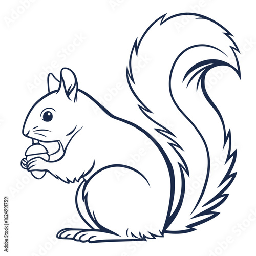 Cute wild squirrel mammal with nut vector illustration, silhouette animal tattoo design