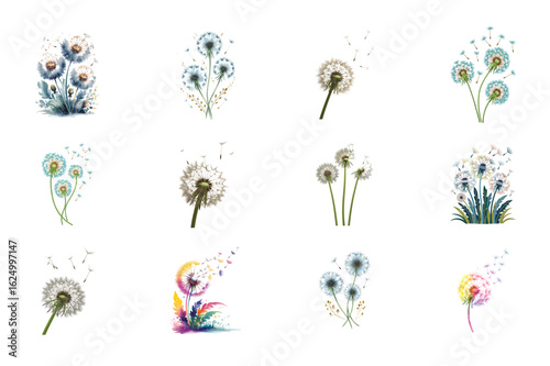 Colorful Watercolor Dandelion Flowers with Flying Seeds Set

