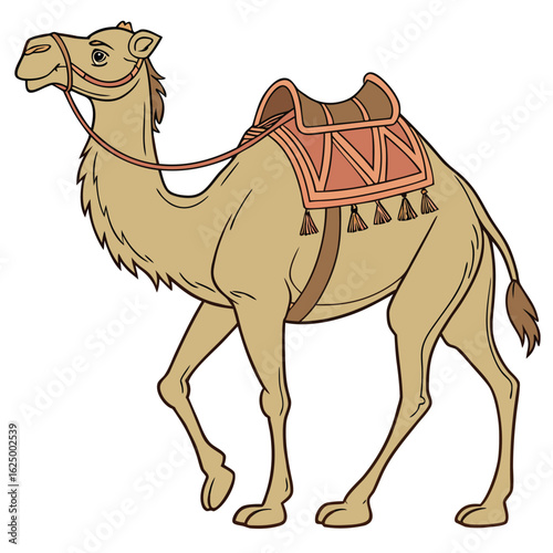 The dromedary is a wild animal with a hump that travels in the vast sahara desert and is often isolated