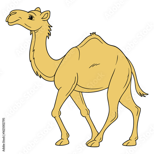 A dromedary camel with a hump stands in the desert sand, an isolated cartoon vector illustration