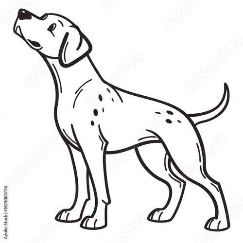 A great dane puppy illustration with a cute black and white coat, sitting isolated on a white background