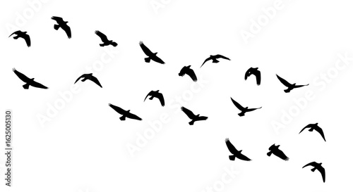 A flock of black bird silhouettes flying in a dynamic wave formation on a white background.