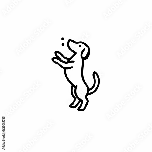 Excited dog standing on hind legs for playful interaction and fun concept