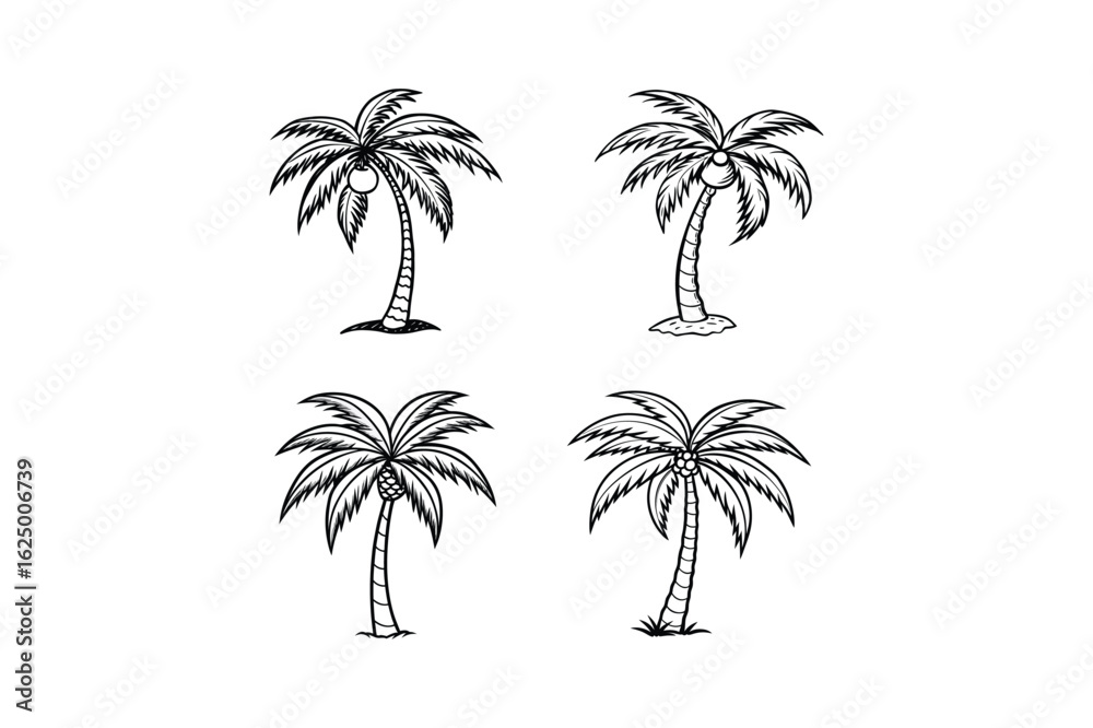 Obraz premium palm tree 