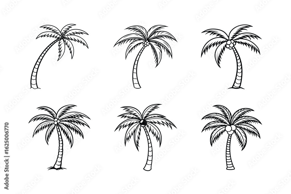 Fototapeta premium palm tree