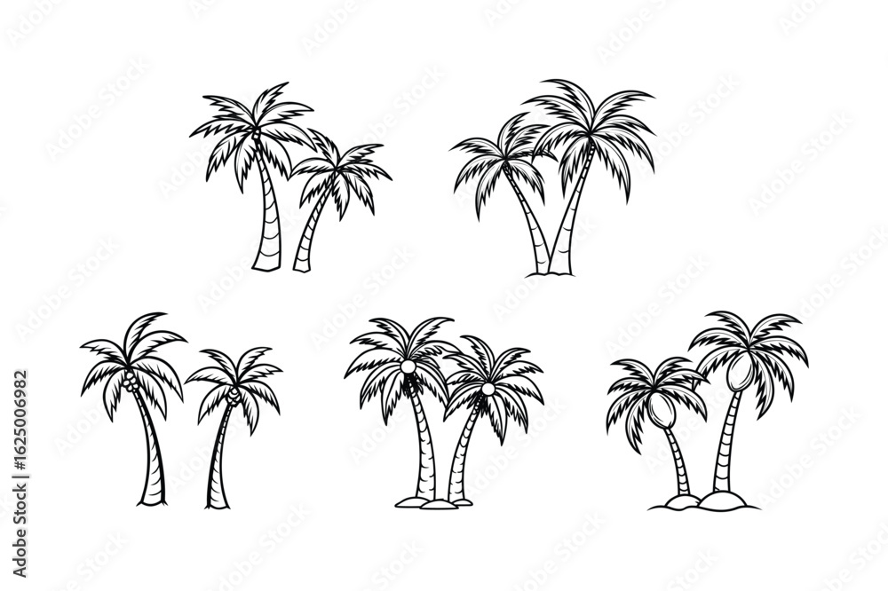 Obraz premium palm tree 