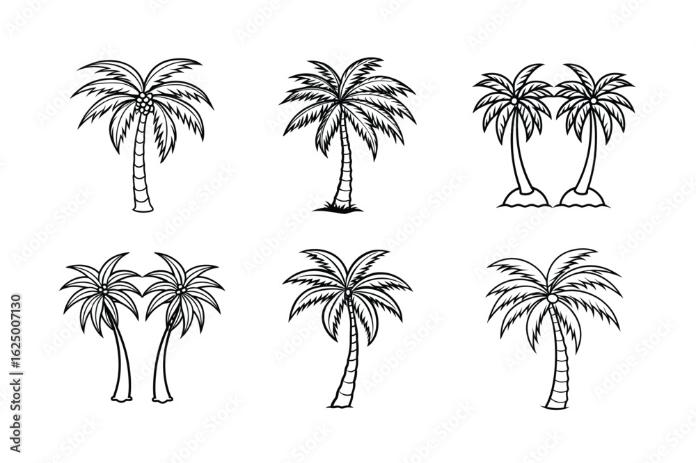 Fototapeta premium palm tree 