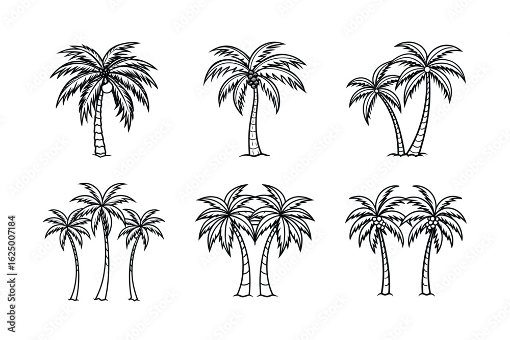 Fototapeta premium palm tree 