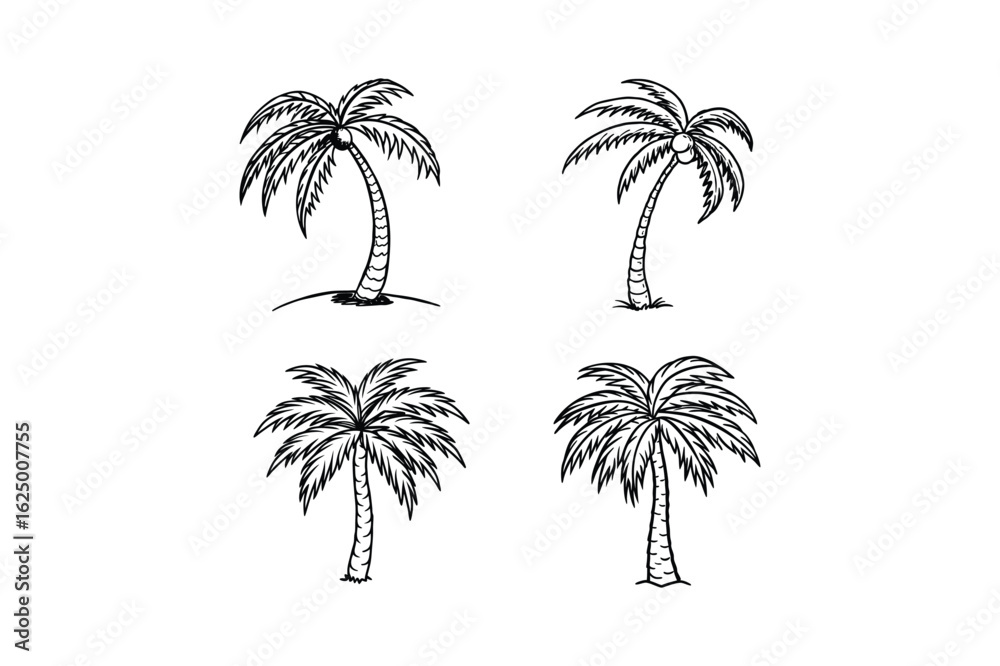 Fototapeta premium palm tree 