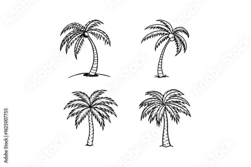 palm tree
