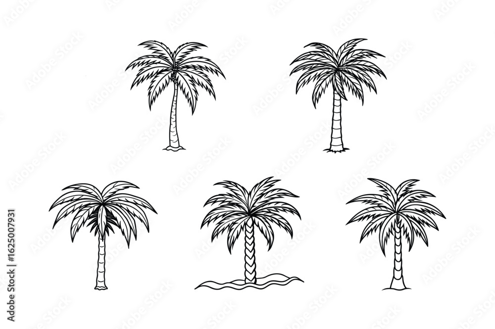 Naklejka premium palm tree 