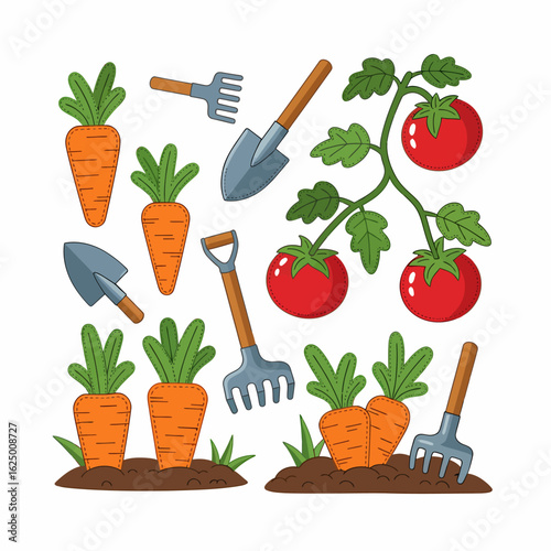 Vibrant Garden Harvest Illustration Featuring Carrots And Ripe Tomatoes With Gardening Tools