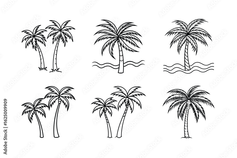 Fototapeta premium palm tree 