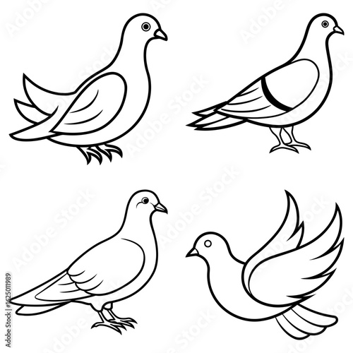 Four outlined pigeons in various poses including standing and flying with detailed wing feathers
