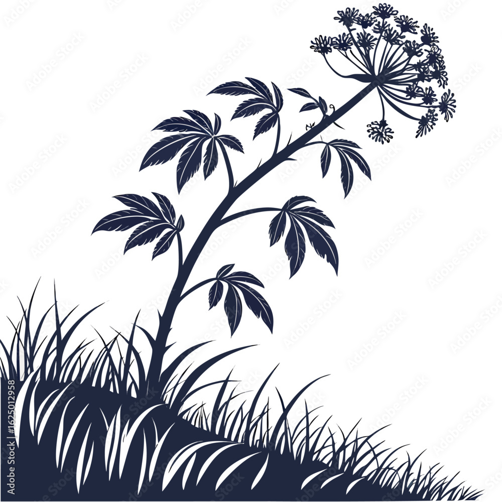 Obraz premium abstract floral background with amorphophallus bulbifer