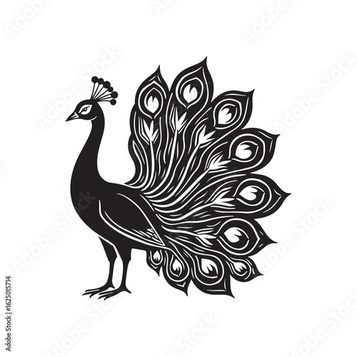 Elegant Black and White Peacock Illustration: Intricate Line Art, Ornate Feathers, Majestic Bird Design.