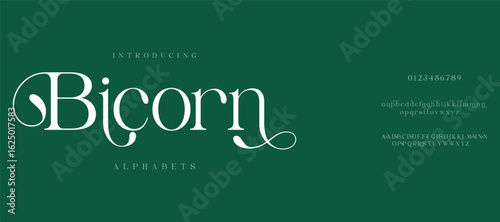 Bjcorn  Elegant alphabet letters font logo. Typography technology, electronic, movie, digital, music, future, logo creative font.