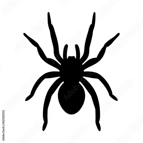 Striking image of a large black spider silhouette on a white background