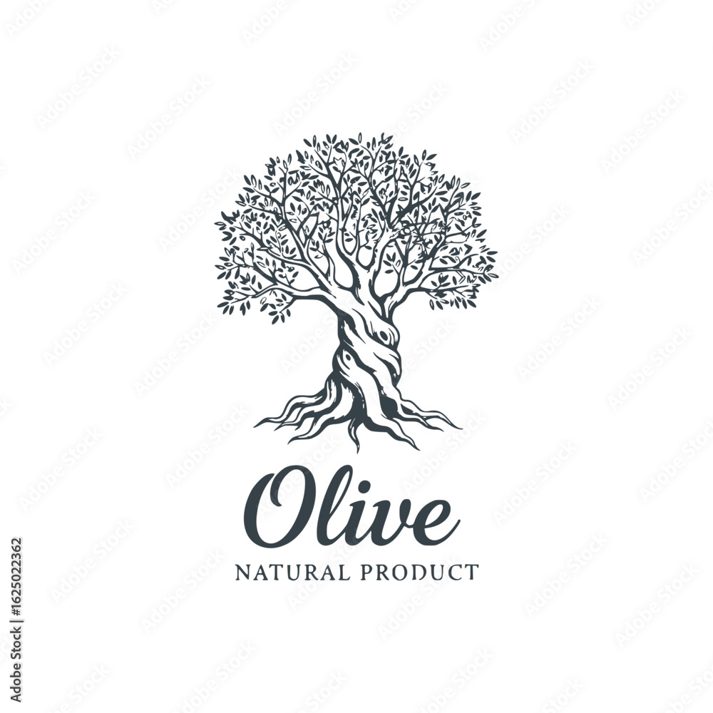 Naklejka premium Olive tree logo icon design vector template