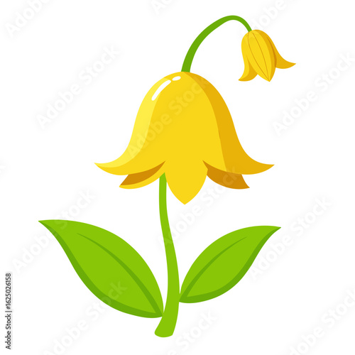 yellow flower isolated on white