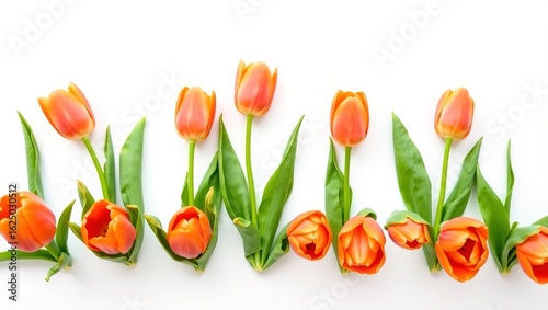 Nine tulips in orange and pink tones lined up across white background. Bright, fresh, and cheerful with soft light and green leaves. Clean, modern spring scene.

