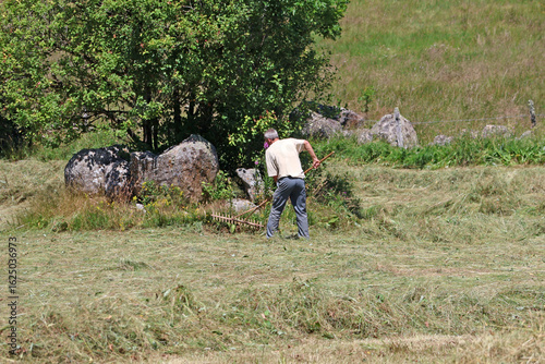 фотографія un paysan et son travail de fenaison avec sa fourche