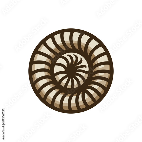 Abstract representation of a nautilus shell, showcasing intricate patterns and textures