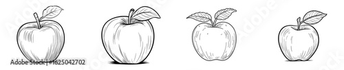 An engraved style apple sketch is isolated on a white background, presented as line art and a hand drawn sketch, reflecting modern drawing techniques