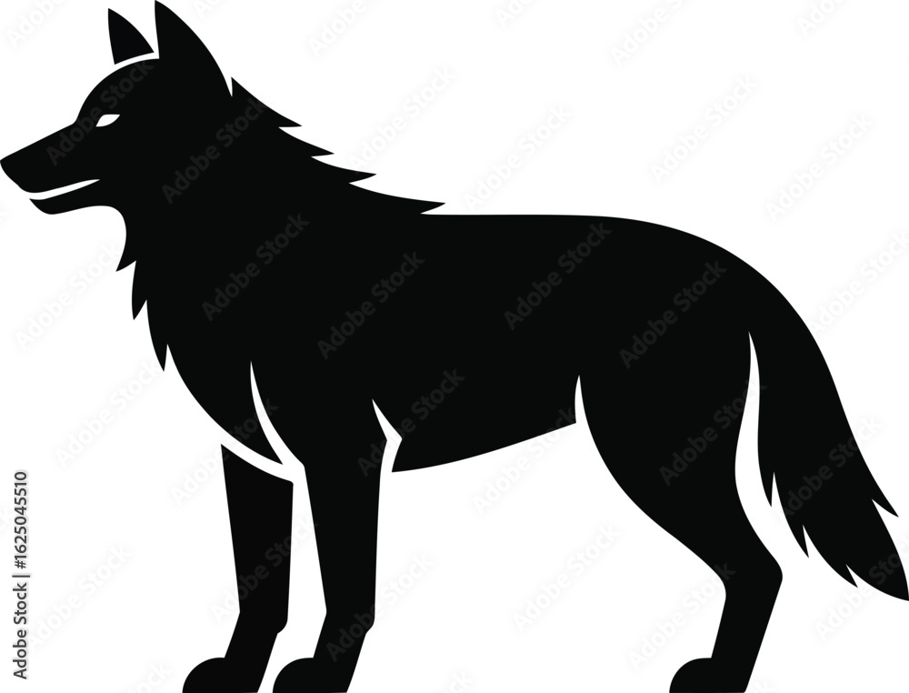 Fototapeta premium Black wolf standing profile view sharp ears alert posture canine animal