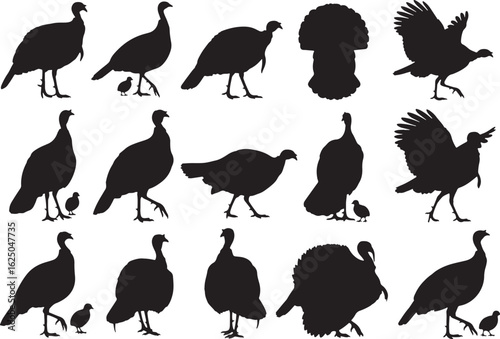 Multiple Black Turkey Silhouettes In Various Poses, turkey, silhouette, bird, fowl, poultry, wild bird, domestic bird, animal, wildlife, farm animal, nature, agriculture, thanksgiving, hunting, game b