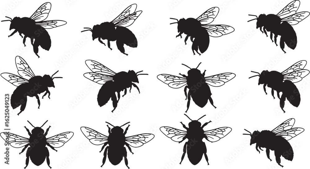 Obraz premium Twelve black bee silhouettes in various flying poses, bee, insect, flying, silhouette, black, white background, wing, antenna, leg, body, nature, animal, macro, detail, isolated, swarm, collection, se