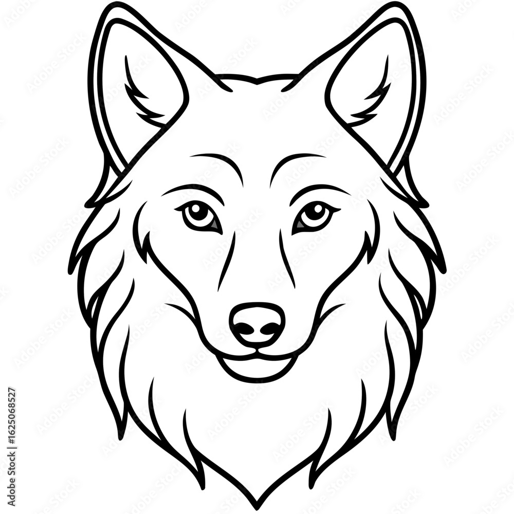Fototapeta premium White Background Wolf