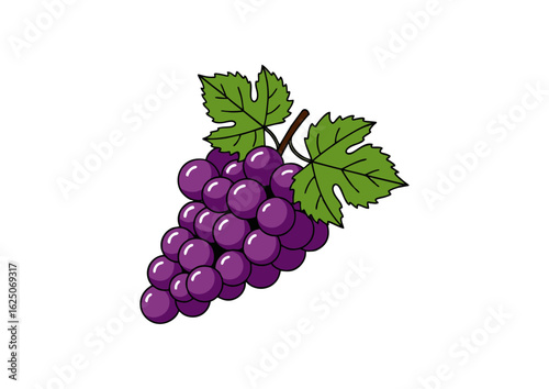 Illustration of a cluster of purple grapes.