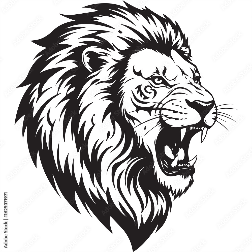 Fototapeta premium Black and White Graphic resources 