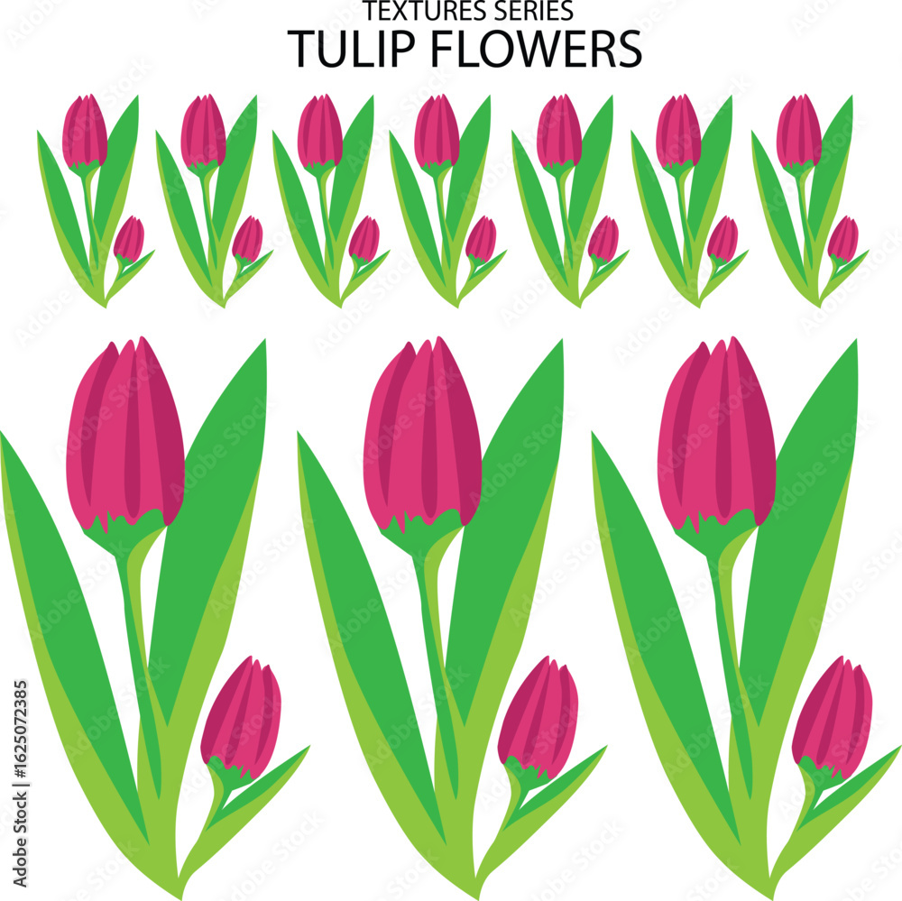 Obraz premium vector pattern set of pink tulips