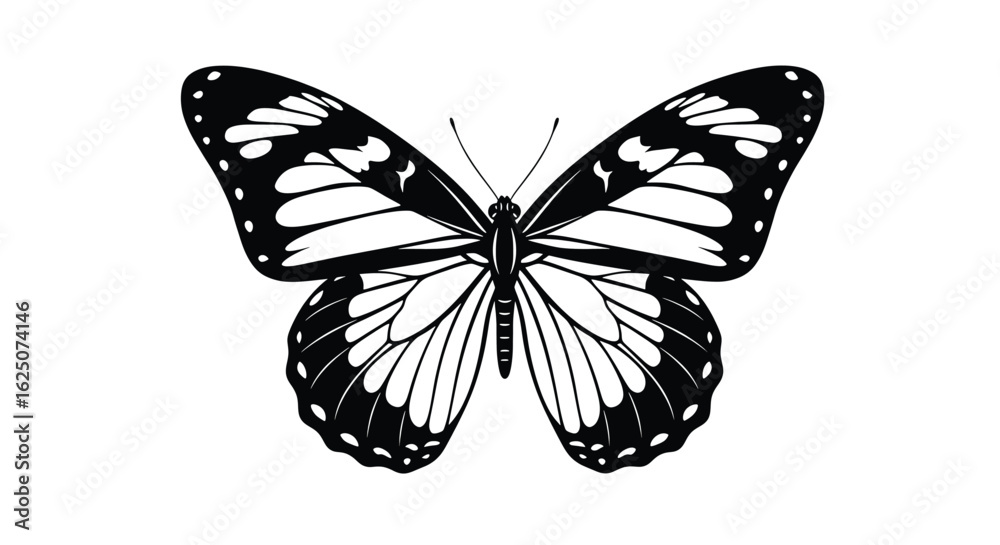 Fototapeta premium Butterfly Silhouette Vector – Black and White Insect Illustration
